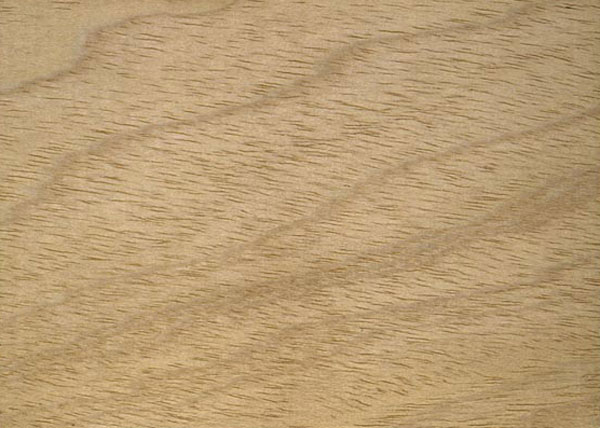 Вид шпона дерева Сейба - его применяют для гибкой фанеры