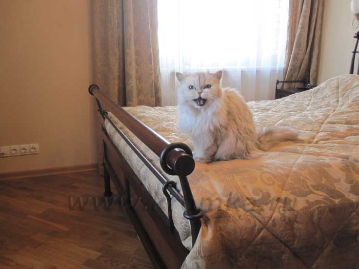 Показавшееся сначала неудобным изножье кровати